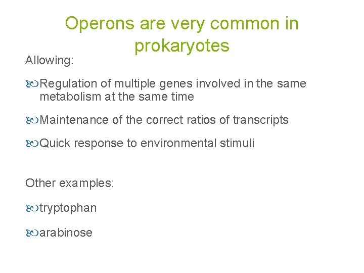 Operons are very common in prokaryotes Allowing: Regulation of multiple genes involved in the