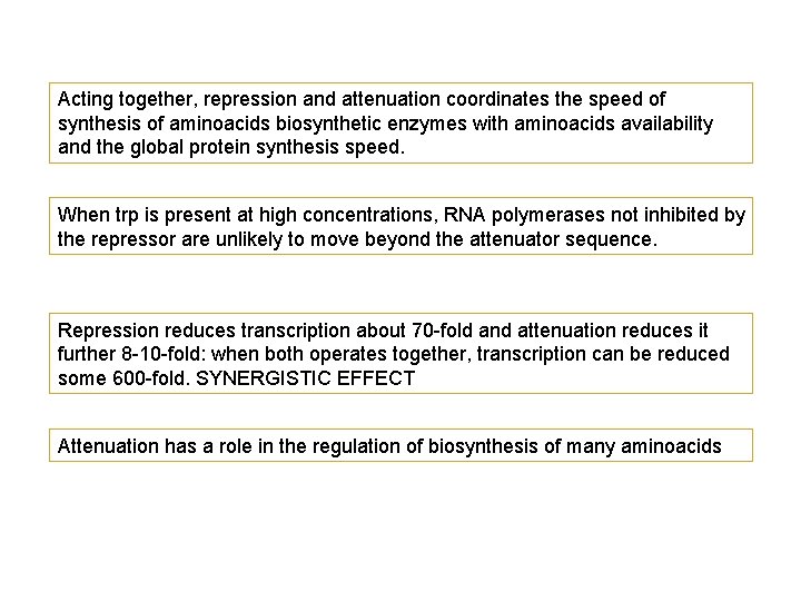 Acting together, repression and attenuation coordinates the speed of synthesis of aminoacids biosynthetic enzymes