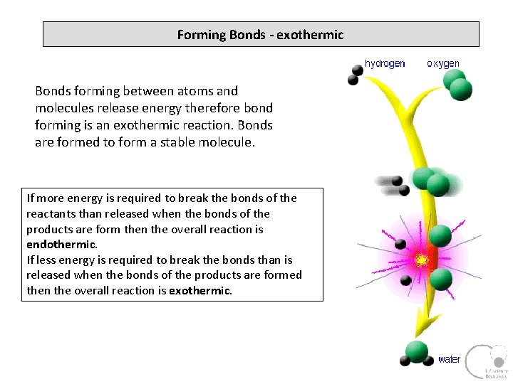 Forming Bonds - exothermic Bonds forming between atoms and molecules release energy therefore bond