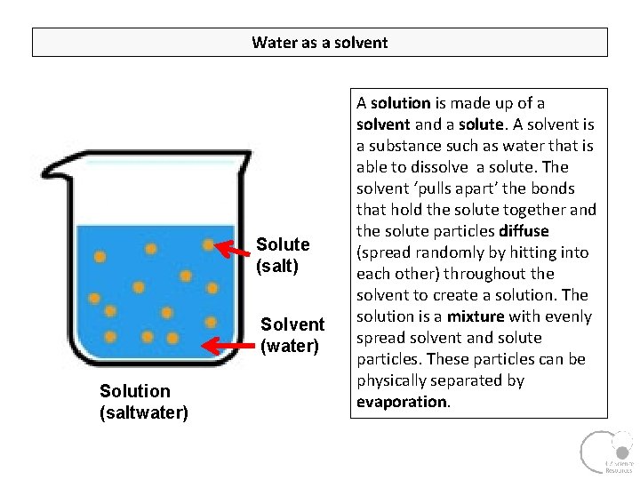 Water as a solvent Solute (salt) Solvent (water) Solution (saltwater) A solution is made