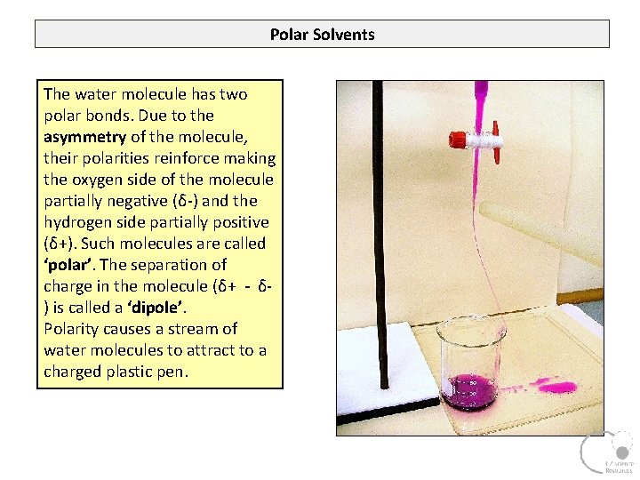 Polar Solvents The water molecule has two polar bonds. Due to the asymmetry of