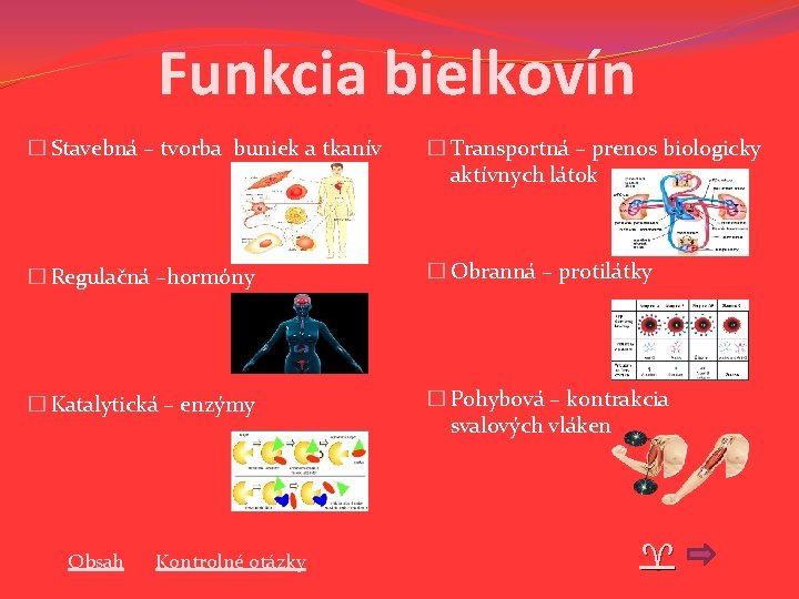 Funkcia bielkovín � Stavebná – tvorba buniek a tkanív � Transportná – prenos biologicky Funkcia bielkovín � Stavebná – tvorba buniek a tkanív � Transportná – prenos biologicky