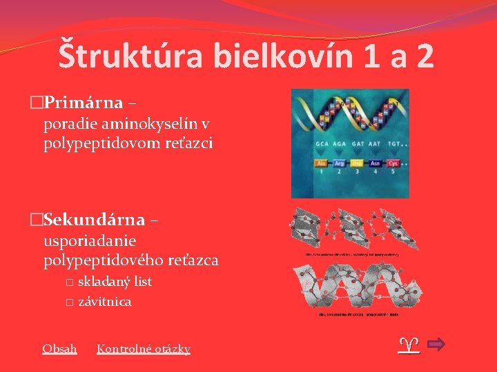 Štruktúra bielkovín 1 a 2 �Primárna – poradie aminokyselín v polypeptidovom reťazci �Sekundárna – Štruktúra bielkovín 1 a 2 �Primárna – poradie aminokyselín v polypeptidovom reťazci �Sekundárna –
