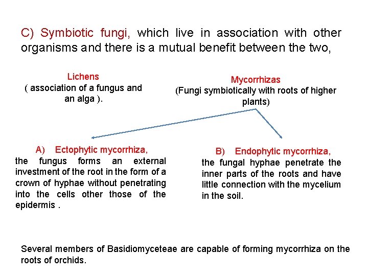 C) Symbiotic fungi, which live in association with other organisms and there is a