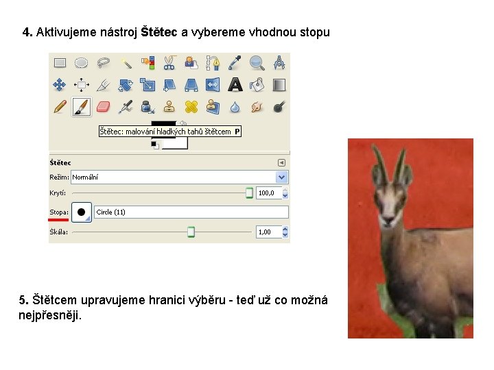 4. Aktivujeme nástroj Štětec a vybereme vhodnou stopu 5. Štětcem upravujeme hranici výběru -