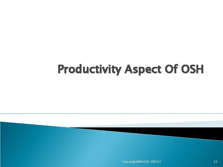 Productivity Aspect Of OSH Copyright@NIOSH 2005/1 23 