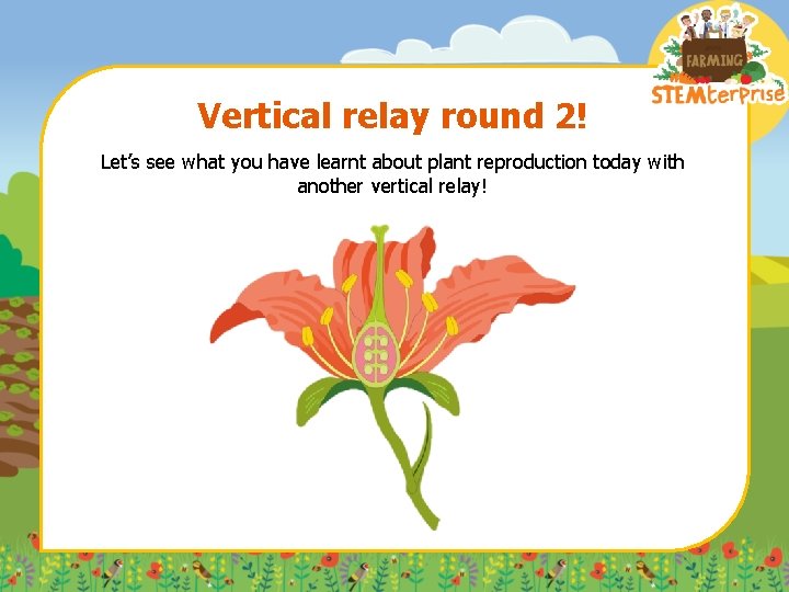 Vertical relay round 2! Let’s see what you have learnt about plant reproduction today