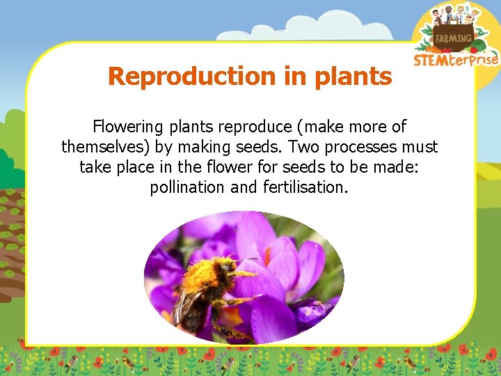 Reproduction in plants Flowering plants reproduce (make more of themselves) by making seeds. Two