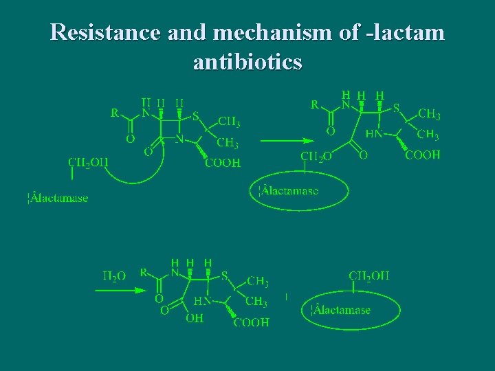 Resistance and mechanism of -lactam antibiotics 