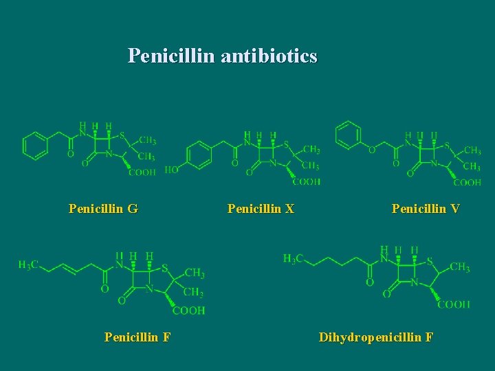 Penicillin antibiotics Penicillin G Penicillin F Penicillin X Penicillin V Dihydropenicillin F 