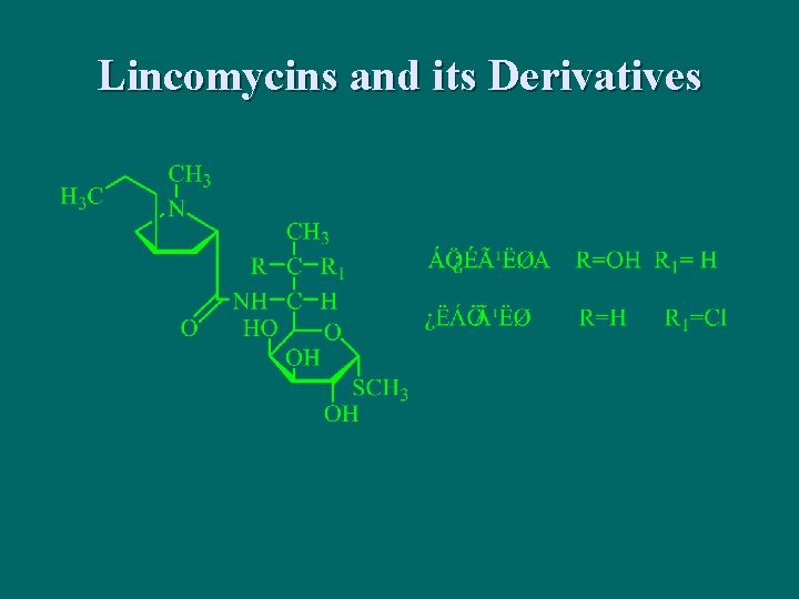 Lincomycins and its Derivatives 