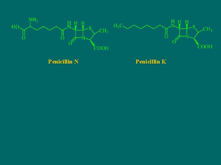 Penicillin N Penicillin K 