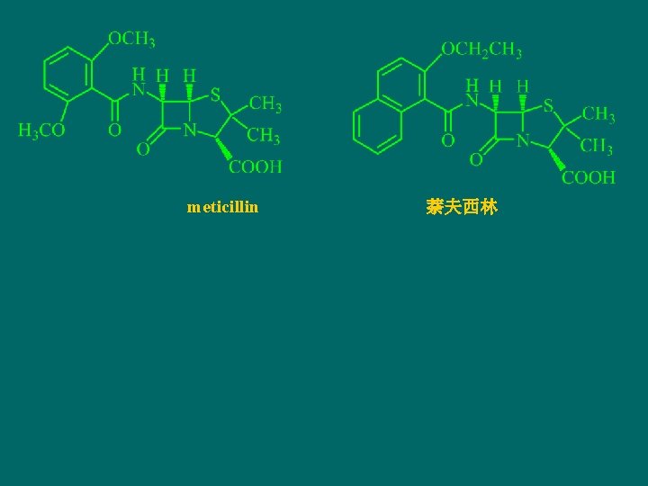 meticillin 萘夫西林 