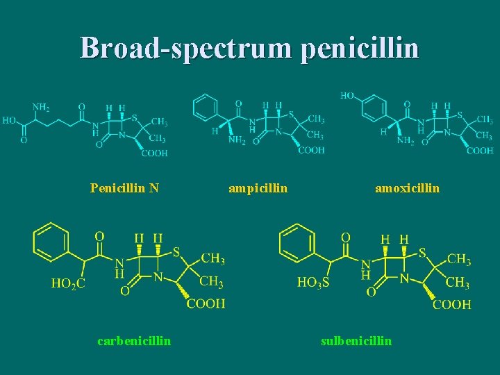 Broad-spectrum penicillin Penicillin N carbenicillin ampicillin amoxicillin sulbenicillin 