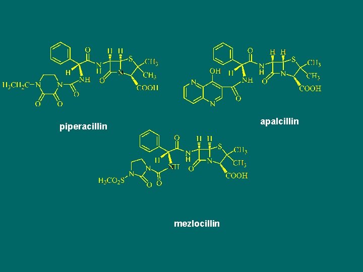 apalcillin piperacillin mezlocillin 