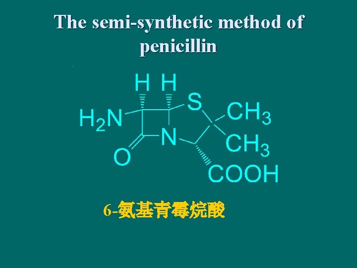 The semi-synthetic method of penicillin 6 -氨基青霉烷酸 