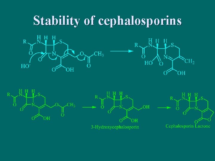 Stability of cephalosporins 