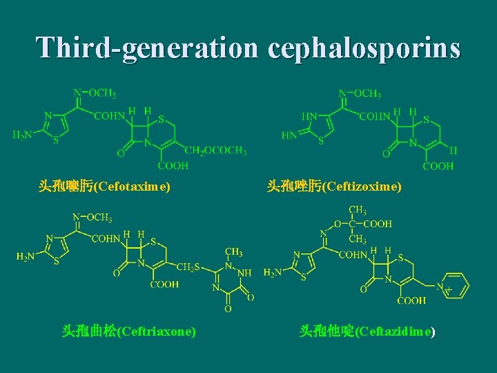 Third-generation cephalosporins 头孢噻肟(Cefotaxime) 头孢曲松(Ceftriaxone) 头孢唑肟(Ceftizoxime) 头孢他啶(Ceftazidime) 