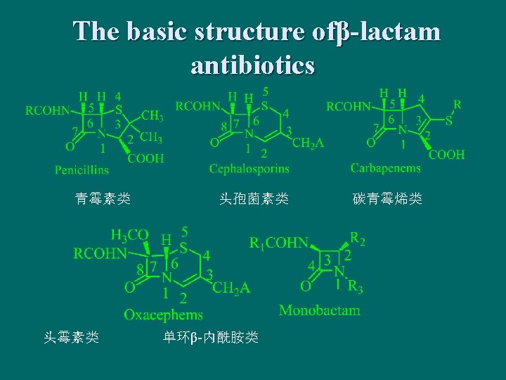 The basic structure ofβ-lactam antibiotics 青霉素类 头孢菌素类 单环β-内酰胺类 碳青霉烯类 