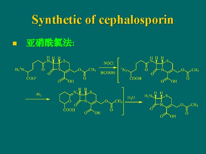 Synthetic of cephalosporin n 亚硝酰氯法: 