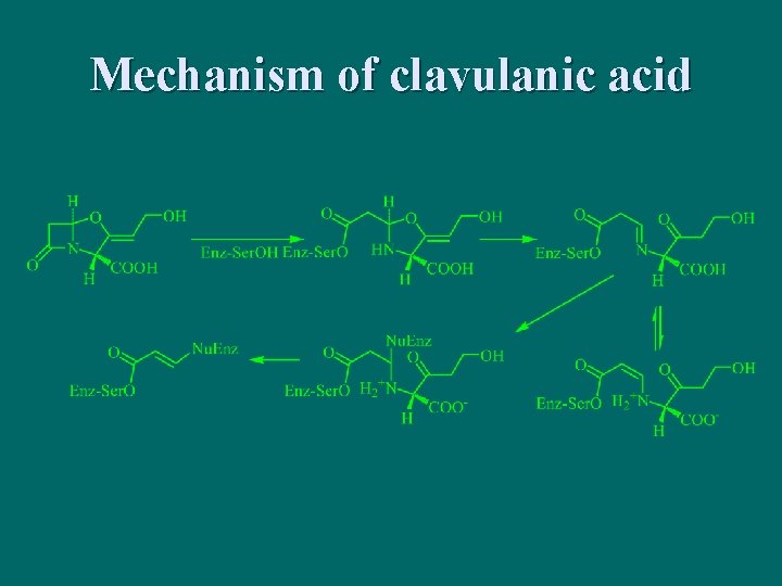 Mechanism of clavulanic acid 