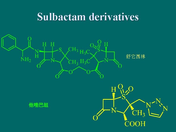 Sulbactam derivatives 舒它西林 他唑巴坦 