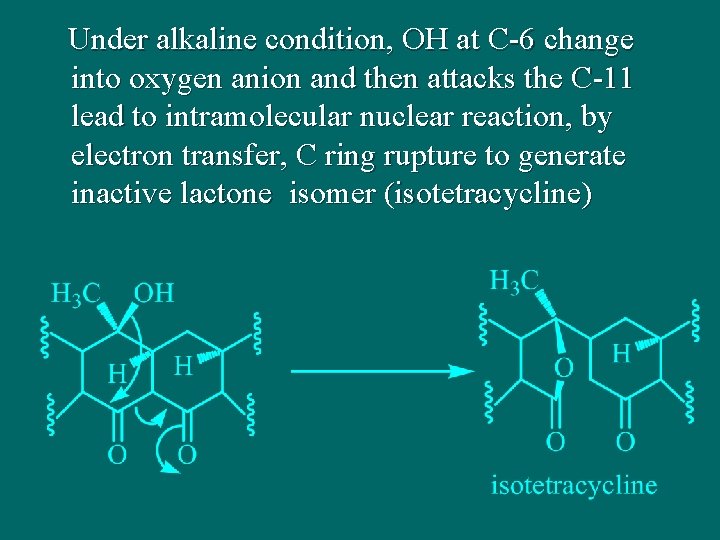 Under alkaline condition, OH at C-6 change into oxygen anion and then attacks the