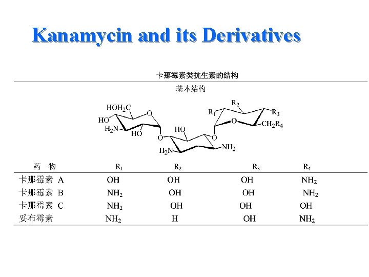 Kanamycin and its Derivatives 