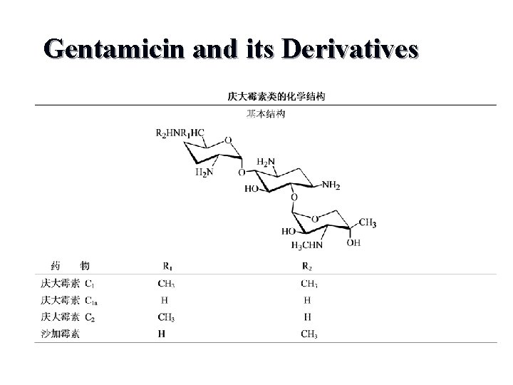 Gentamicin and its Derivatives 
