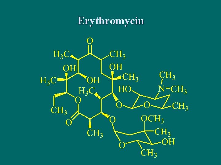 Erythromycin 