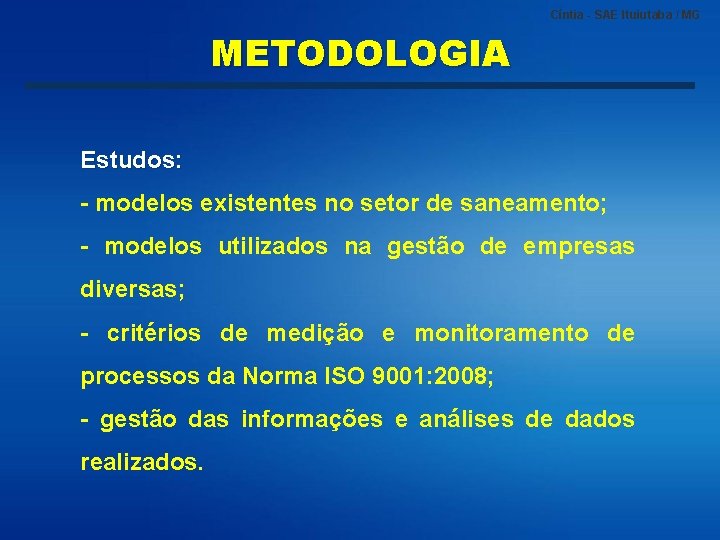 Cíntia - SAE Ituiutaba / MG METODOLOGIA Estudos: - modelos existentes no setor de