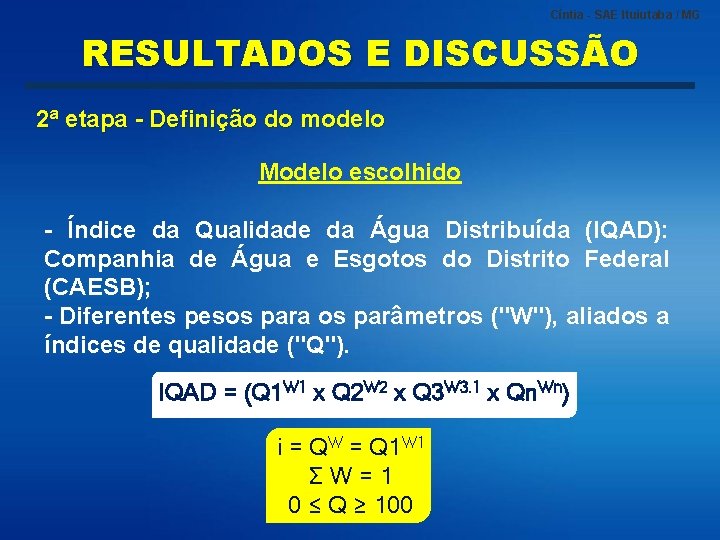 Cíntia - SAE Ituiutaba / MG RESULTADOS E DISCUSSÃO 2ª etapa - Definição do