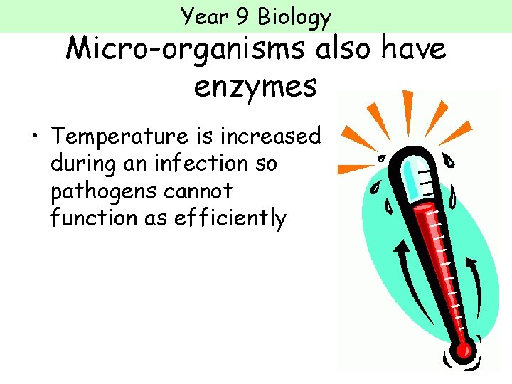 Year 9 Biology Micro-organisms also have enzymes • Temperature is increased during an infection