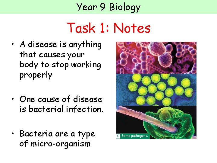Year 9 Biology Task 1: Notes • A disease is anything that causes your