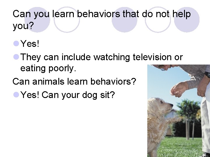 Can you learn behaviors that do not help you? l Yes! l They can