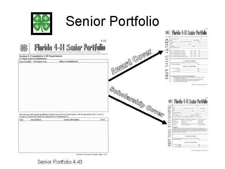 Senior Portfolio 4. 43 