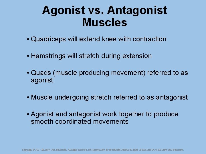 Agonist vs. Antagonist Muscles • Quadriceps will extend knee with contraction • Hamstrings will