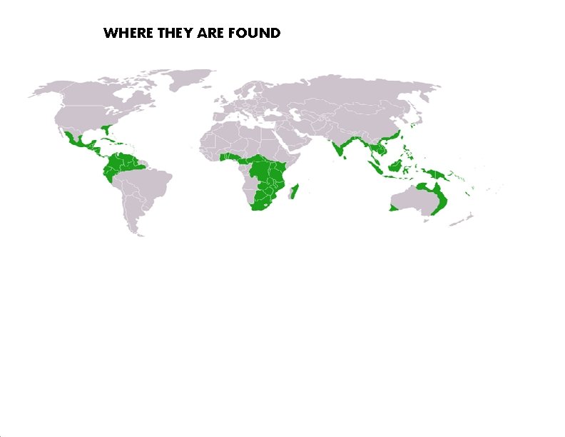 WHERE THEY ARE FOUND 