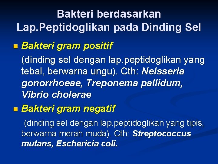 Bakteri berdasarkan Lap. Peptidoglikan pada Dinding Sel Bakteri gram positif (dinding sel dengan lap.