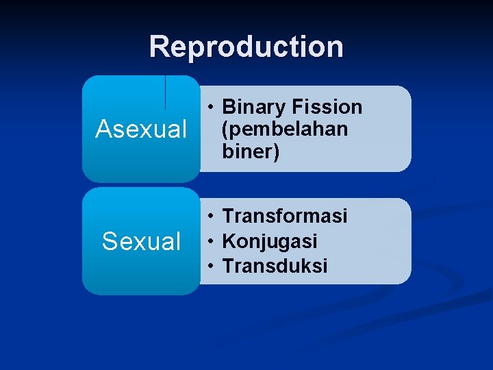 Reproduction Asexual Sexual • Binary Fission (pembelahan biner) • Transformasi • Konjugasi • Transduksi