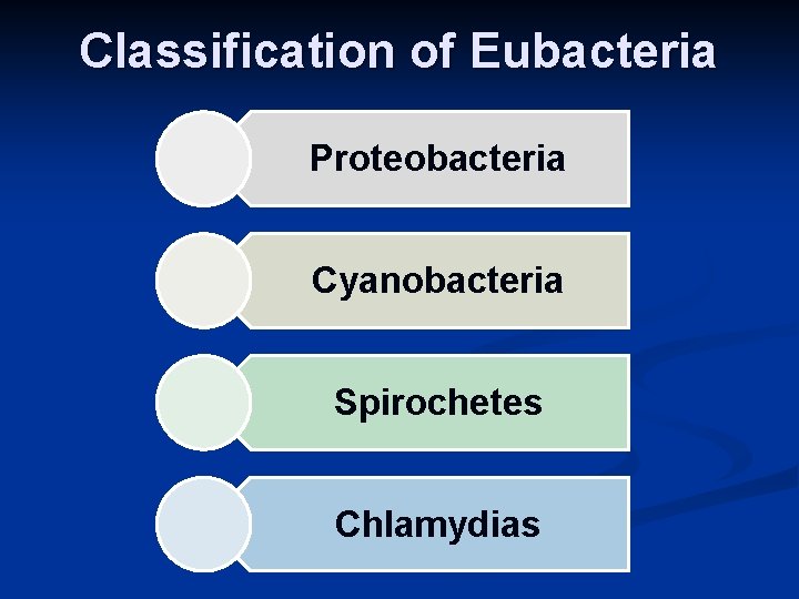 Classification of Eubacteria Proteobacteria Cyanobacteria Spirochetes Chlamydias 