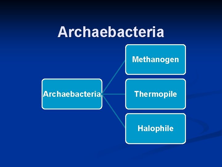 Archaebacteria Methanogen Archaebacteria Thermopile Halophile 