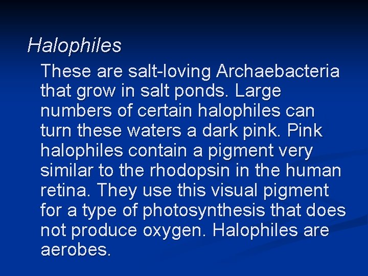 Halophiles These are salt-loving Archaebacteria that grow in salt ponds. Large numbers of certain