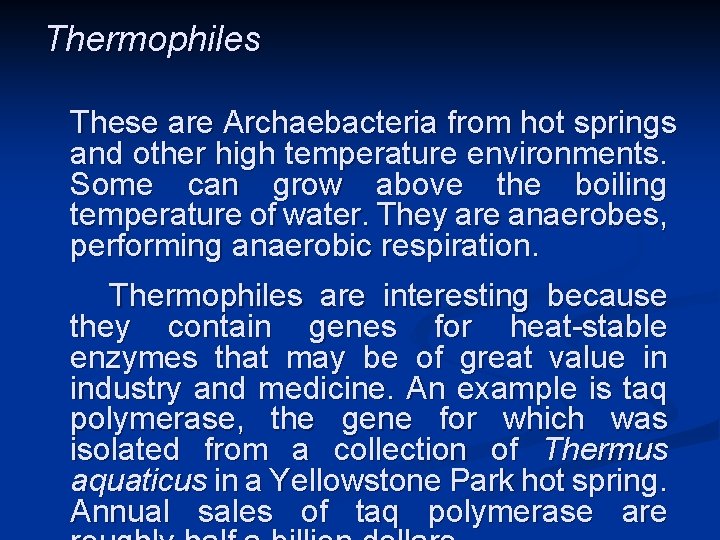 Thermophiles These are Archaebacteria from hot springs and other high temperature environments. Some can