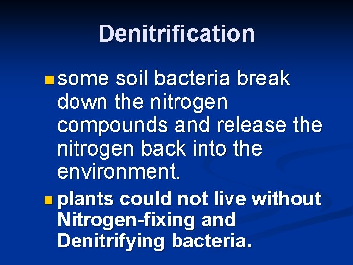 Denitrification n some soil bacteria break down the nitrogen compounds and release the nitrogen