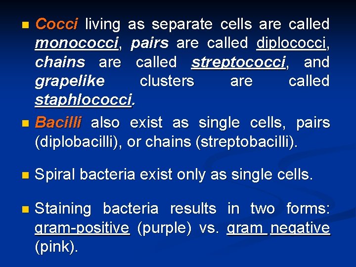 Cocci living as separate cells are called monococci, pairs are called diplococci, chains are