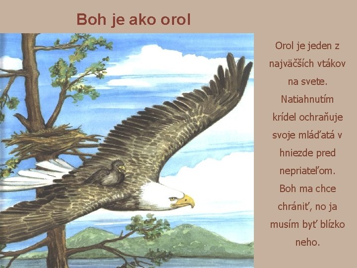 Boh je ako orol Orol je jeden z najväčších vtákov na svete. Natiahnutím krídel