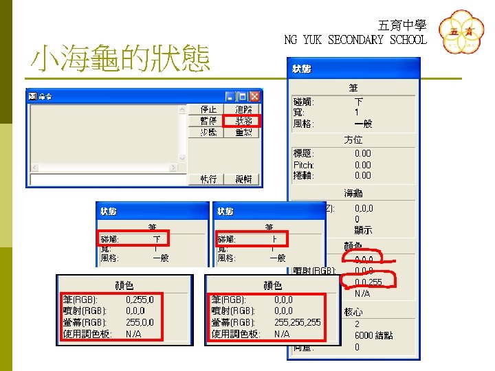 小海龜的狀態 五育中學 NG YUK SECONDARY SCHOOL 