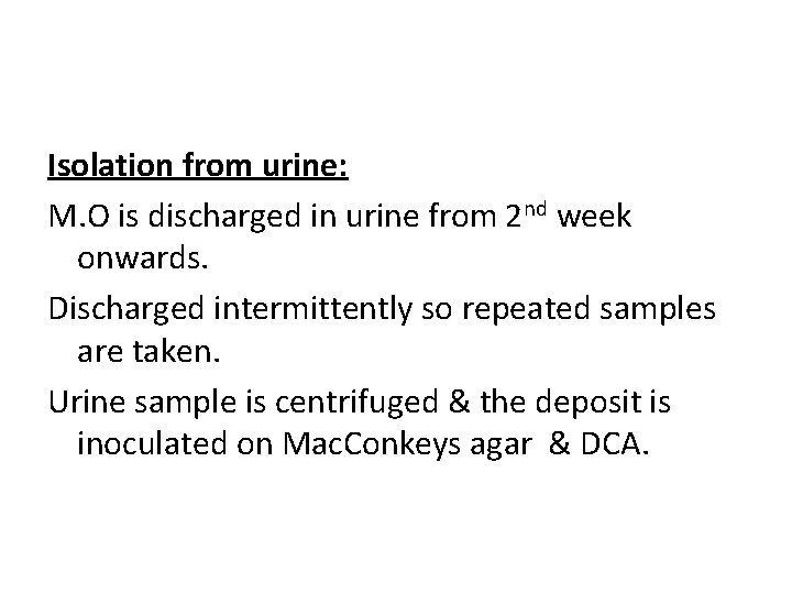 Isolation from urine: M. O is discharged in urine from 2 nd week onwards.