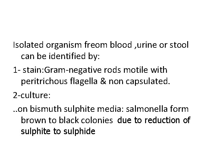 Isolated organism freom blood , urine or stool can be identified by: 1 -